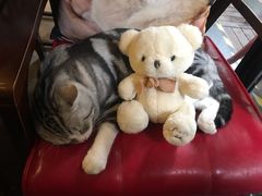 -咖法森林·咖啡  酒吧(天河店)