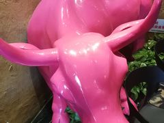 -小放牛炒菜馆(军校店)