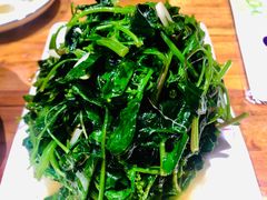 清炒灰挑菜-老滇山寨•云南特色菜•地方菜•民族风情歌舞表演(金碧店)