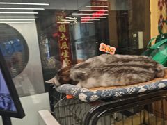 -谜盒子奇幻密室(南屏店)