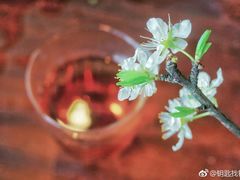 -帐篷客·溪龙茶谷度假酒店