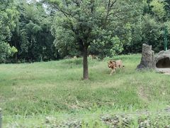 -杭州野生动物世界