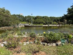 -东莞植物园