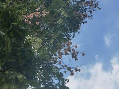 -白塘生态植物园