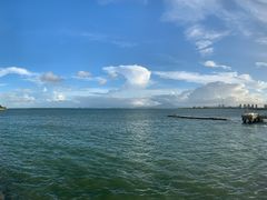 -霞涌市场海鲜摆卖区