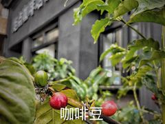 -Torch Coffee 炬点咖啡
