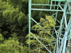 -陶祖圣境风景区