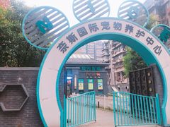 -奈斯宠物医院·核磁CT·异宠专科·内镜(中南店)