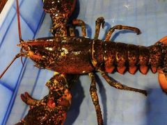 -蟹后Crabber(水悦城店)