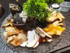 -一善菌·云南菌汤·云南菜(银泰城店)