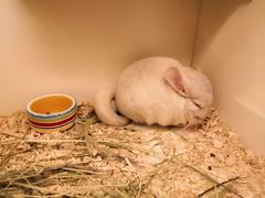 -龙猫仔乐园(惠福东路店)