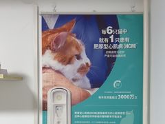 -乐派堂宠物医院·猫友好· 心脏科(东街店)