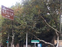 -青岛市江苏路基督教堂