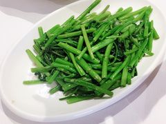 -峨嵋一派