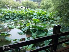 -长兴太湖图影湿地文化园