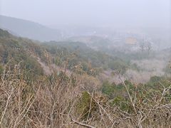 -北京西山国家森林公园