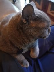 -青木造型HAIR·あおき髪を刈る潮人店