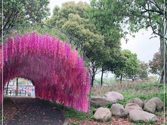 -上海杨姆庄园