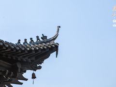 -梅城古镇