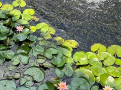 -岳王庙