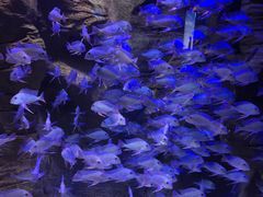 -成都浩海立方海洋公园