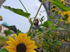 -清风小镇闯关东影视基地