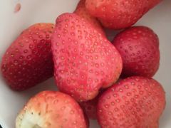 -丽莎蓓甜CAKE生日蛋糕·动物奶油(石家庄店)