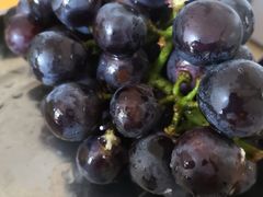 -南城百货(亭江店)