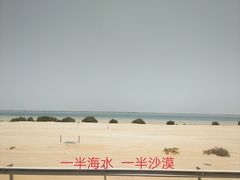 -迪拜沙漠冲沙