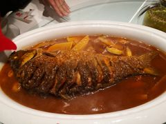 -阿庄新豫菜(航海东路店)