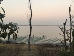 -上海滴水湖皇冠假日酒店