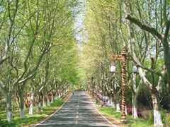 -宜兴龙背山森林公园