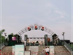 -武汉知音号