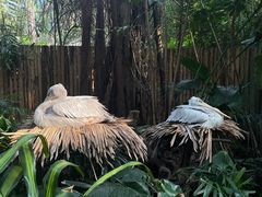 -广州长隆野生动物世界