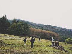 -硗碛藏寨·神木垒景区