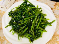 -煲来饱去冷水鱼