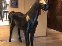 -苏浙总会(国金中心店)