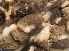 羊肚领-金生隆(六铺炕店)