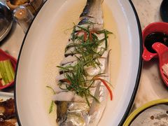清蒸白鱼-二十八里太湖船菜(吉祥路店)