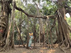 -中国科学院西双版纳热带植物园