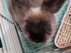 -上海潜殿潜水中心