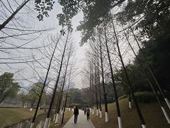 -沐仙湖湿地公园