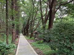 -同里国家湿地公园