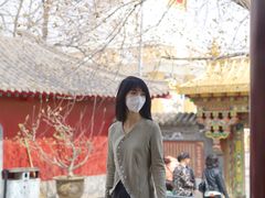 -护国法轮寺