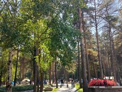 -黑龙江省森林植物园