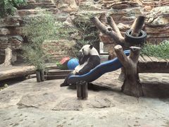 -石家庄市动物园