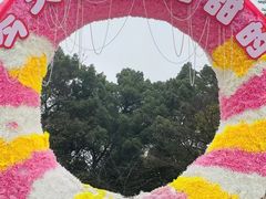 -南山植物园