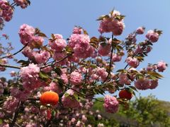 -雨花胜境