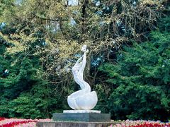 -杭州植物园