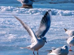 -老虎石海上公园